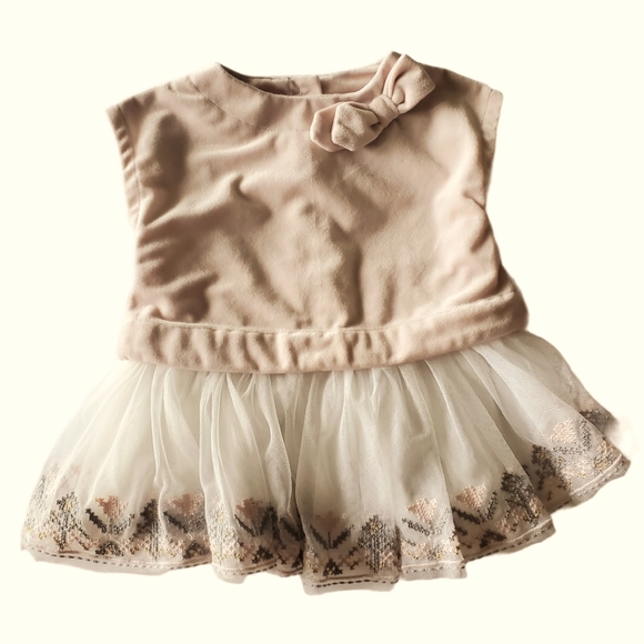 Max Studio Velvet and Tulle Embroidered Dress - Picture 1 of 4